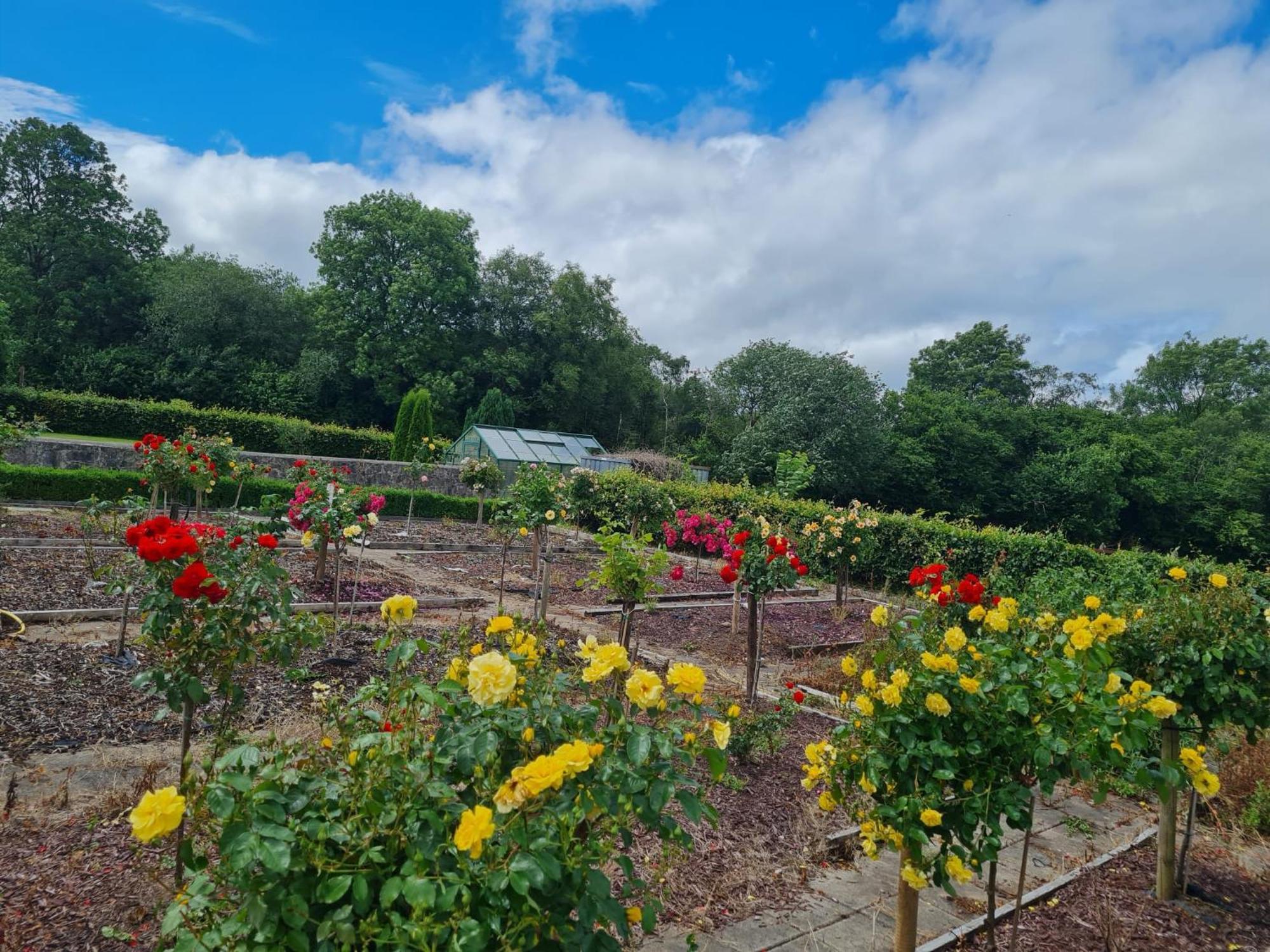 Hazelwood Country House อาแดร์ ภายนอก รูปภาพ